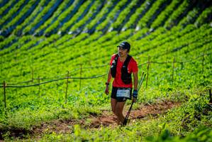 BIB: 
                            <button type="button" onclick="openModal(19161563)" class="btn btn-primary btn-sm float-right btn-popup" data-toggle="modal" data-target=".modal-high-quality">
                        <i class="fas fa-shopping-cart"></i> Add to Cart
                    </button>
                                            <button type="button" onclick="isThisMe(19161563, true)" class="btn btn-success btn-sm float-right btn-popup btn-isme hidden" data-toggle="tooltip" data-placement="bottom" title="นี่คือรูปของคุณใช่ไหม คลิกที่นี่เพื่อเอาเข้าอัลบั้ม">
                        <i class="fas fa-plus"></i> Add to album
                    </button>
                    <button type="button" onclick="isThisMe(19161563, false)" class="btn btn-warning btn-sm float-right btn-popup btn-isnotme hidden">
                        <i class="fas fa-ban"></i> Remove from album
                    </button>